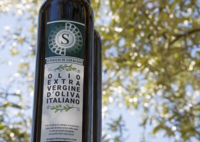 Agriturismo Poggio di Saragano: Un'Oasi nel Cuore dell'Umbria con camere, piscina e vendita di prodotti propri